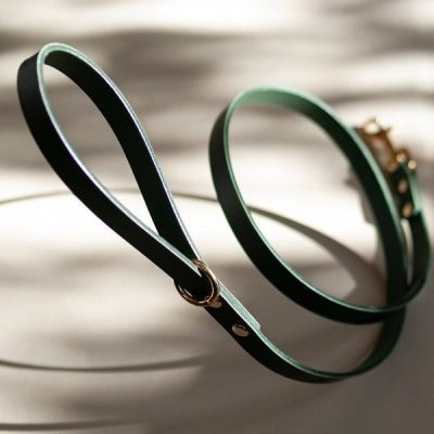 classic line green beautifulass