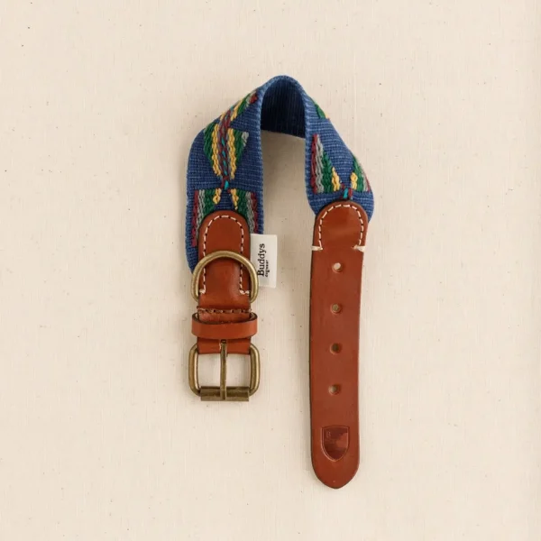 Buddys Dogwear Etna Blue // Bredt og let halsbånd (blå)