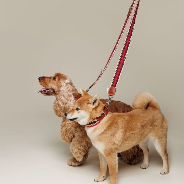 Buddys dogwear // Peruvian Arrow Red elegant dog leash