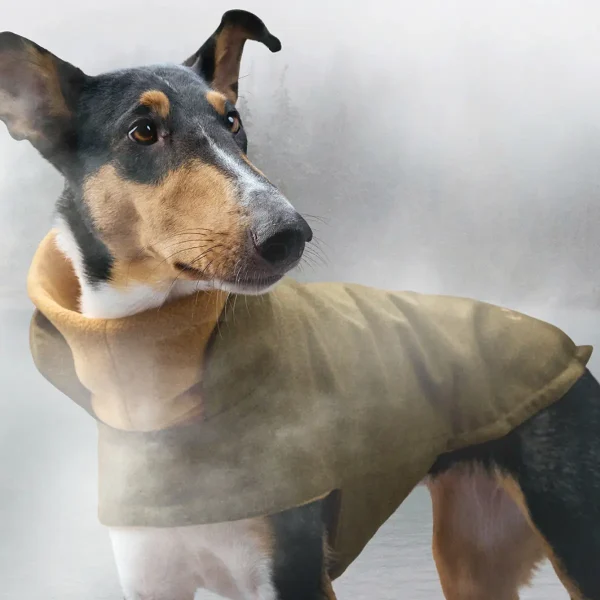 Cloud7 Brooklyn // Warm dog jacket (flannel autumn green)