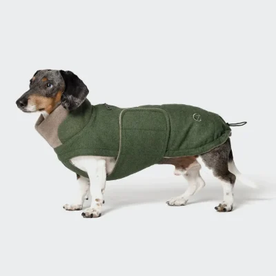 grøn vinterdaekken gravhunde