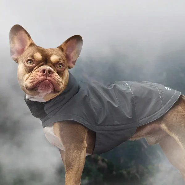 Cloud7 Brooklyn // Warm dog jacket for French Bulldogs (reflective)