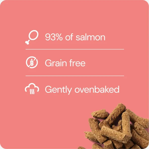 RAUH! Salmon treat// soft salmon treat