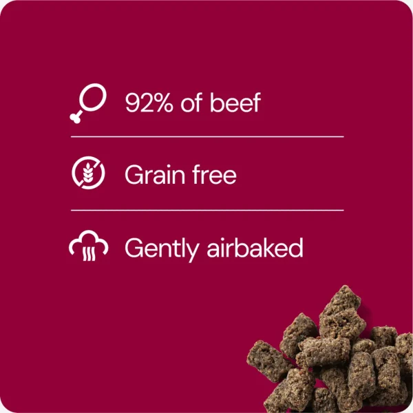 Rauh! Meatball Treat // Freeze-dried beef tallow meatballs