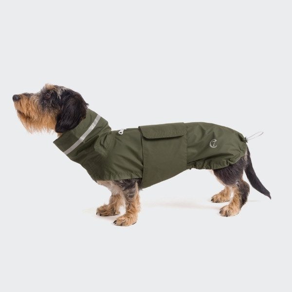 green raincoat for dachshunds