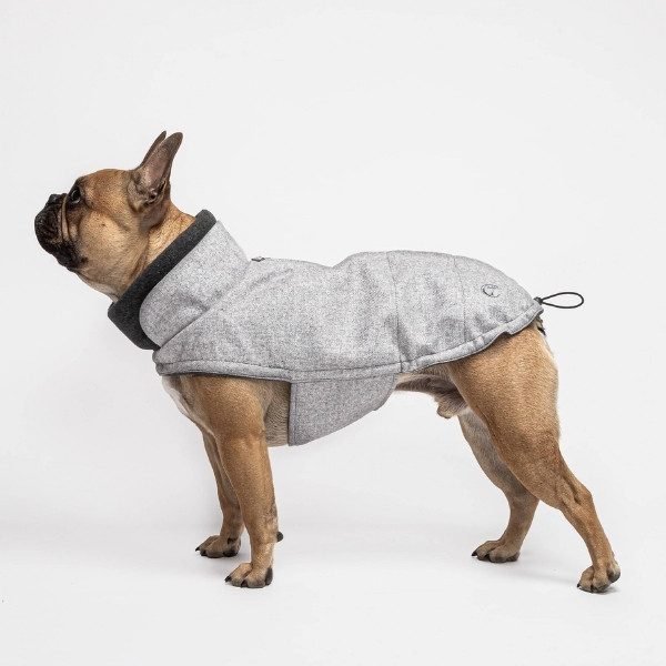 grå jakke bulldog