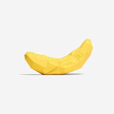 treat dispensing dog toy