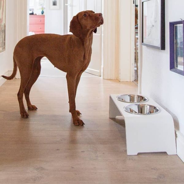 foderstativ til hunde