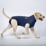 medical pet shirt