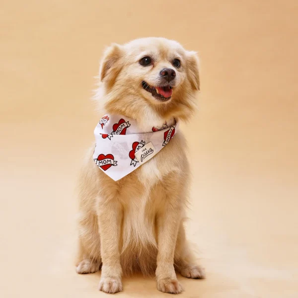 bandana hund