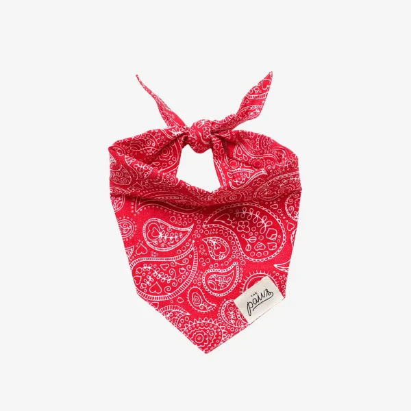 Paisley Rodeo // Paisley Dog Bandana (red)