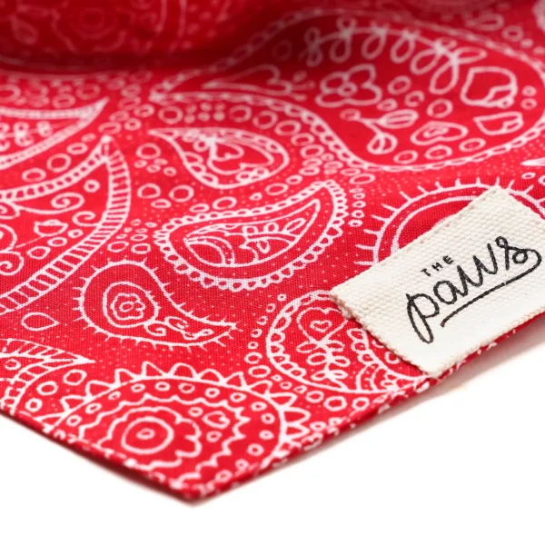Paisley Rodeo // Paisley Dog Bandana (red)