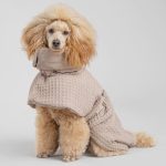 badekåbe hund