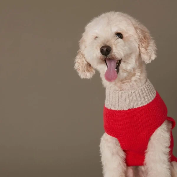 Mark R. Sweater // Hundesweater i merinould og cashmere (rød) XL
