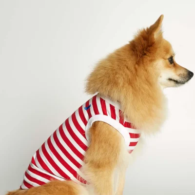hundetrøje