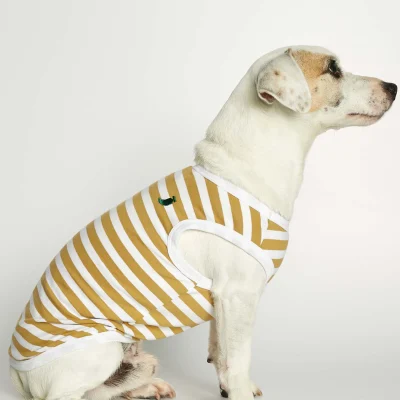 hundetrøje