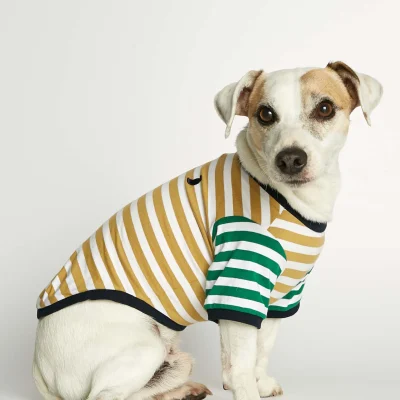 hundetrøje
