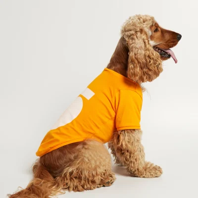 hundetrøje