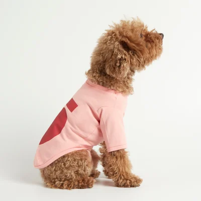 hundetrøje