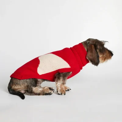 hundesweater