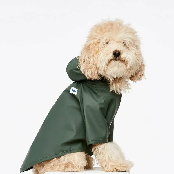rengnjakke hund