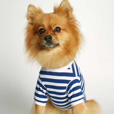 hundetrøje