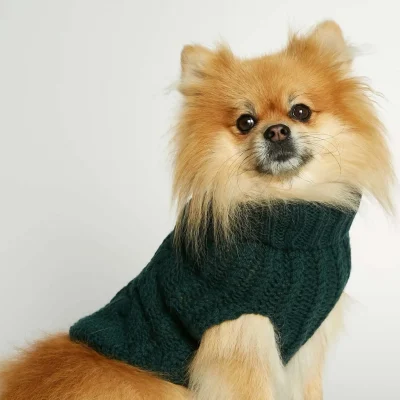 hundesweater