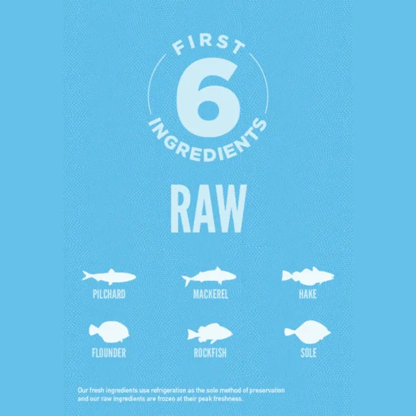 Orijen Six Fish // Dog food especially good for fur and skin