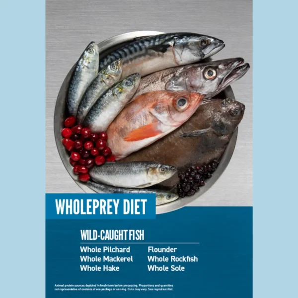 Orijen Six Fish // Dog food especially good for fur and skin