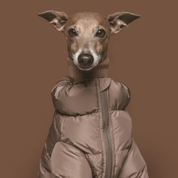 Cushycushy Onesie // Flyverdragt som ikke skal over hovedet (mocha) Str 0, 10 og 12