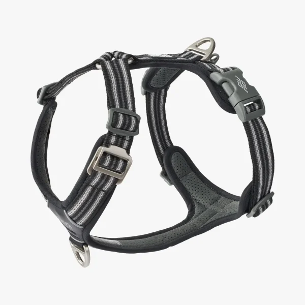 hundesele dog copenhagen