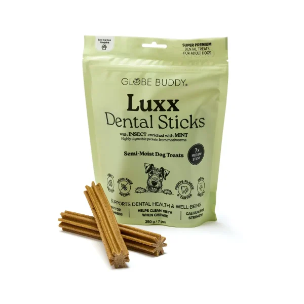 Globe Buddy Luxx // Dental Sticks med insektprotein og mynte