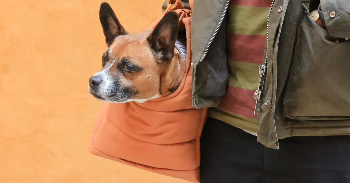 hundetaske 12 kg