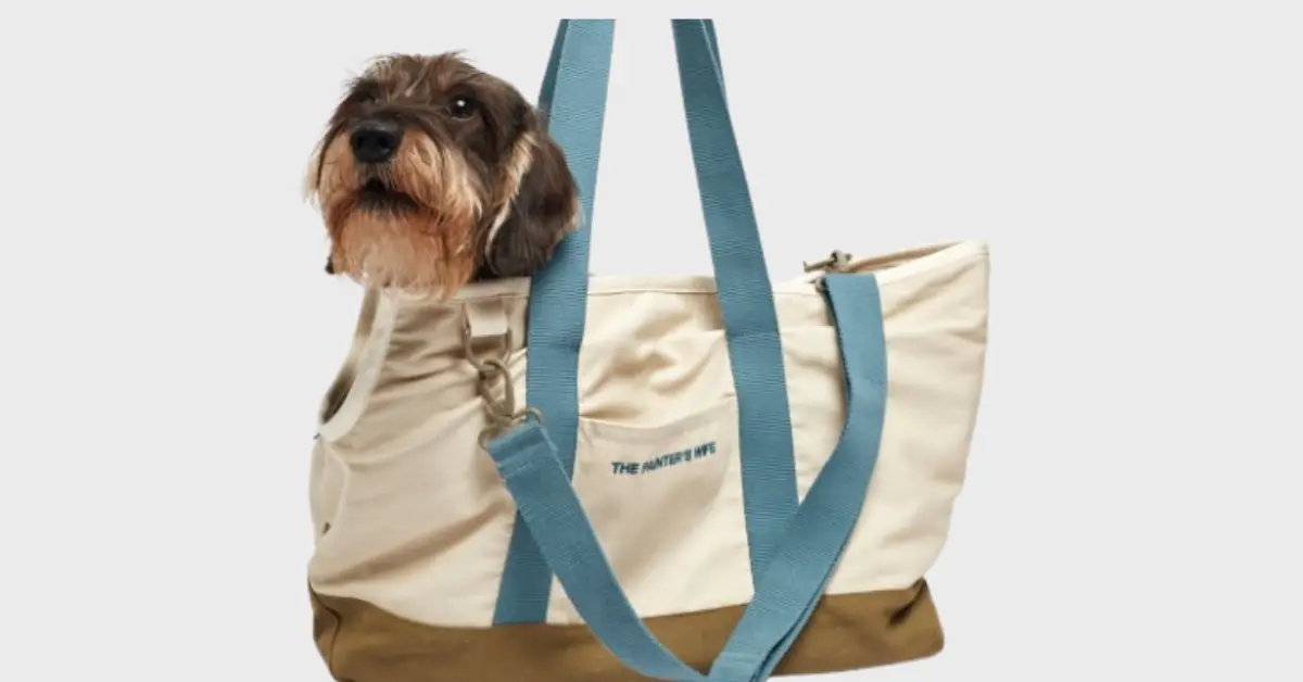 hundetasker til små hunde