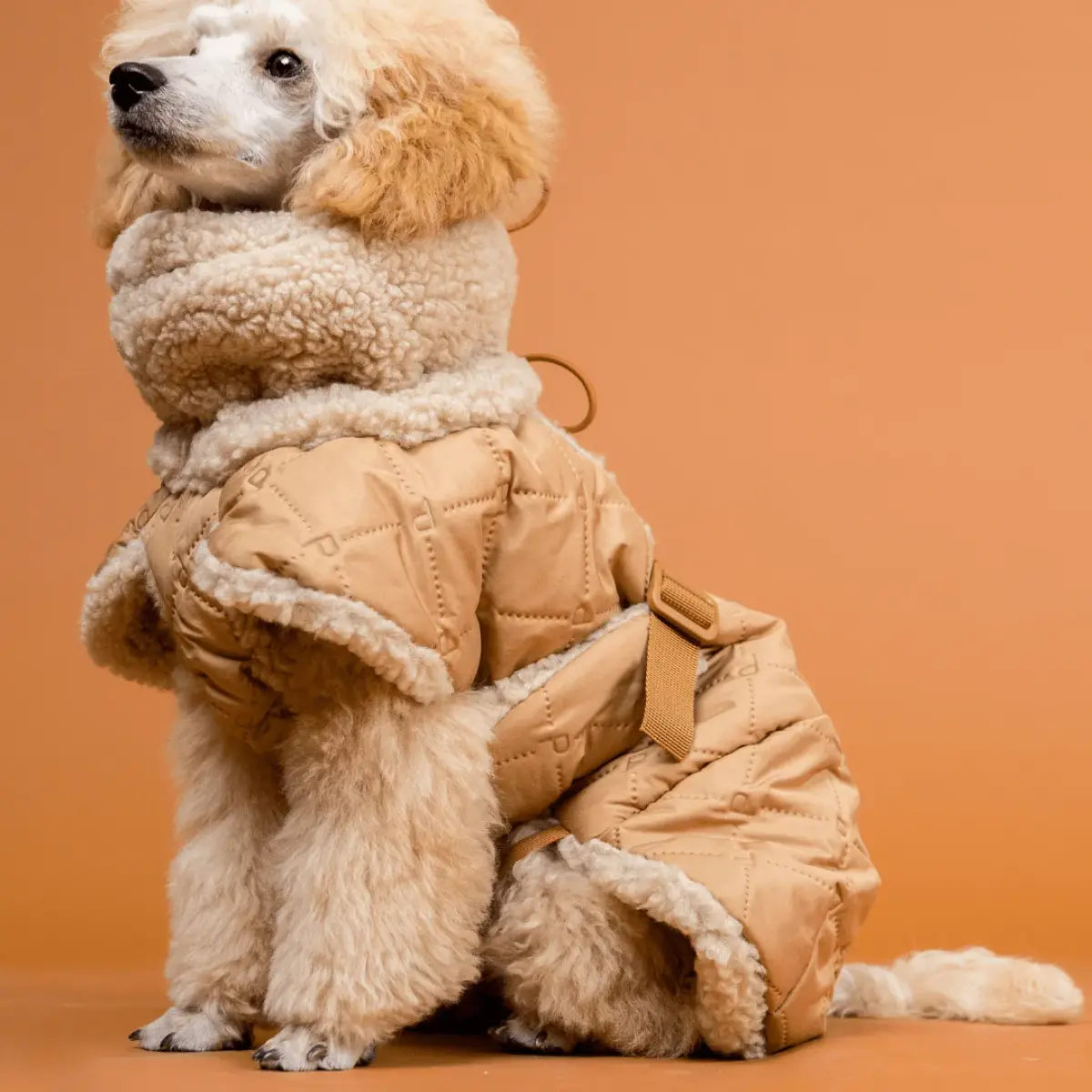 vinterjakke hunde