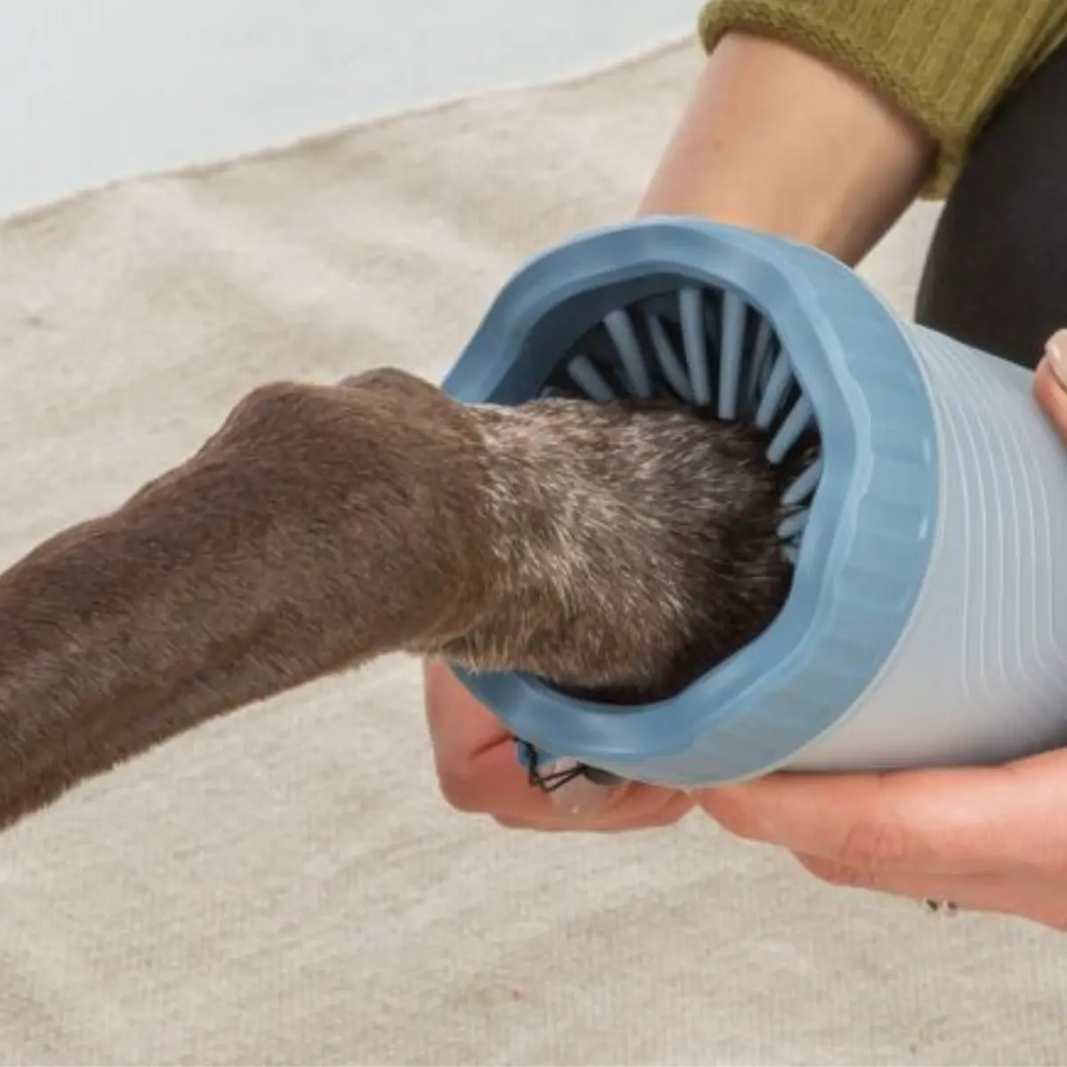 poterenser til hund