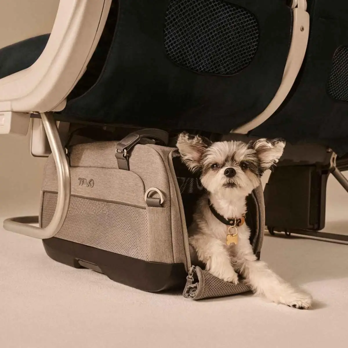 hundetaske til fly