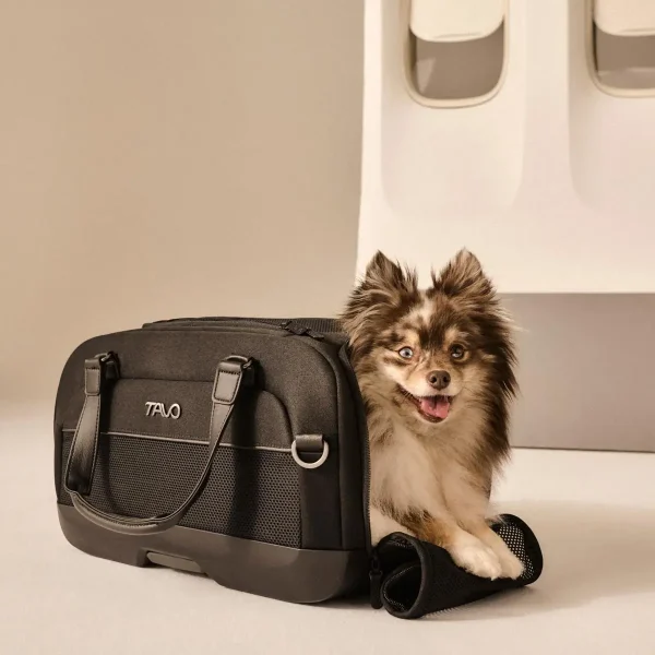 Tavo Dupree // Crash-testet hundetaske til fly og bil med ISOFIX (onyx)