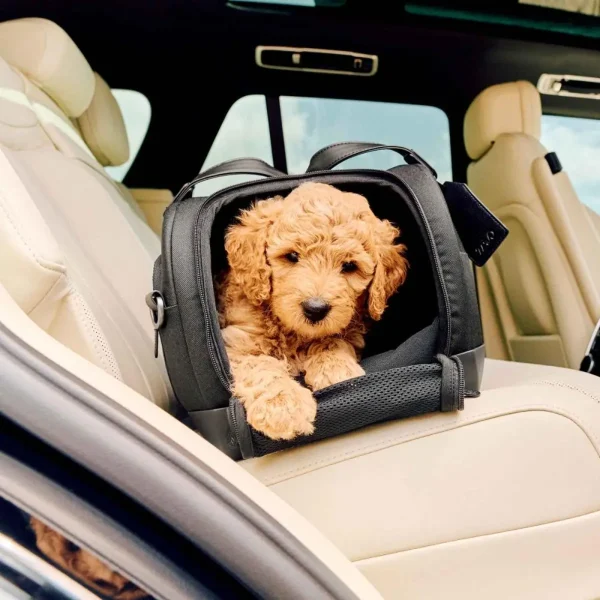Tavo Dupree // Crash-testet hundetaske til fly og bil med ISOFIX (onyx)
