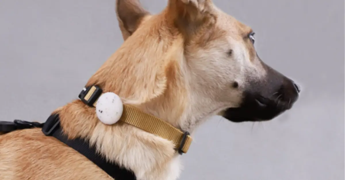 airtag holder